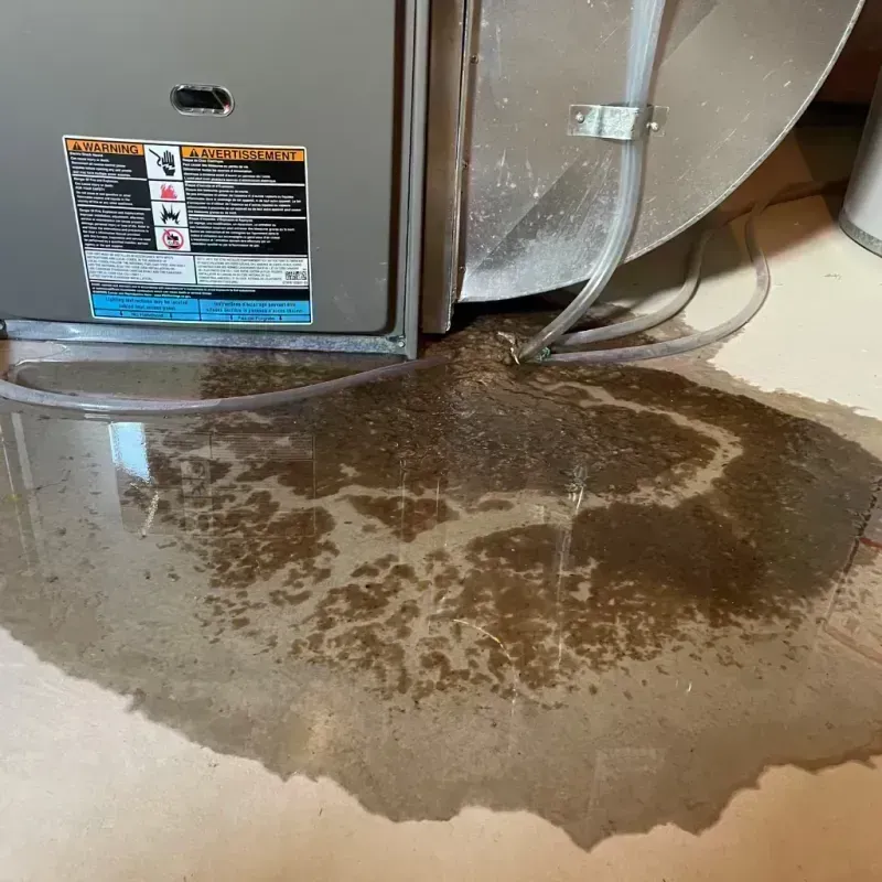 Appliance Leak Cleanup in East Alton, IL